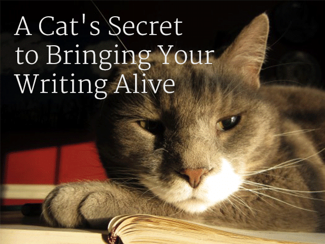 A Cat’s Secret to Bringing Your Writing Alive