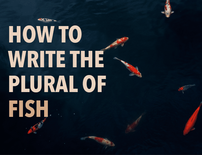 How to Write the Plural of Fish