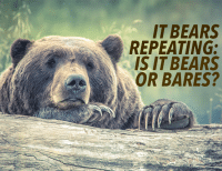 It Bears Repeating: Is It Bears or Bares?